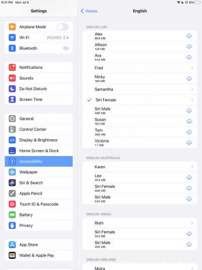 Screenshot of English settings under iPad settings 