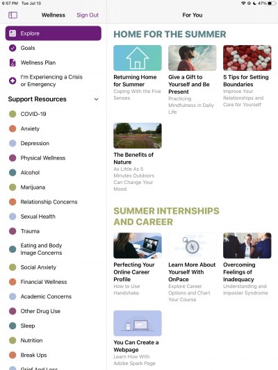 Screenshot of Explore tab in Wellness app on iPad