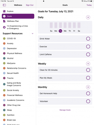 Screenshot of Goals tab in Wellness app on iPad