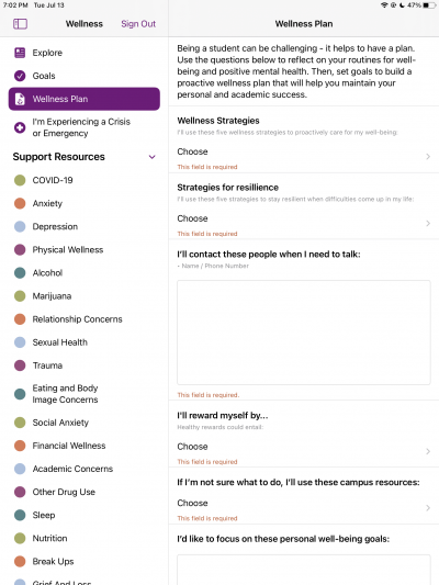 Screenshot of Wellness Plan tab in Wellness app on iPad