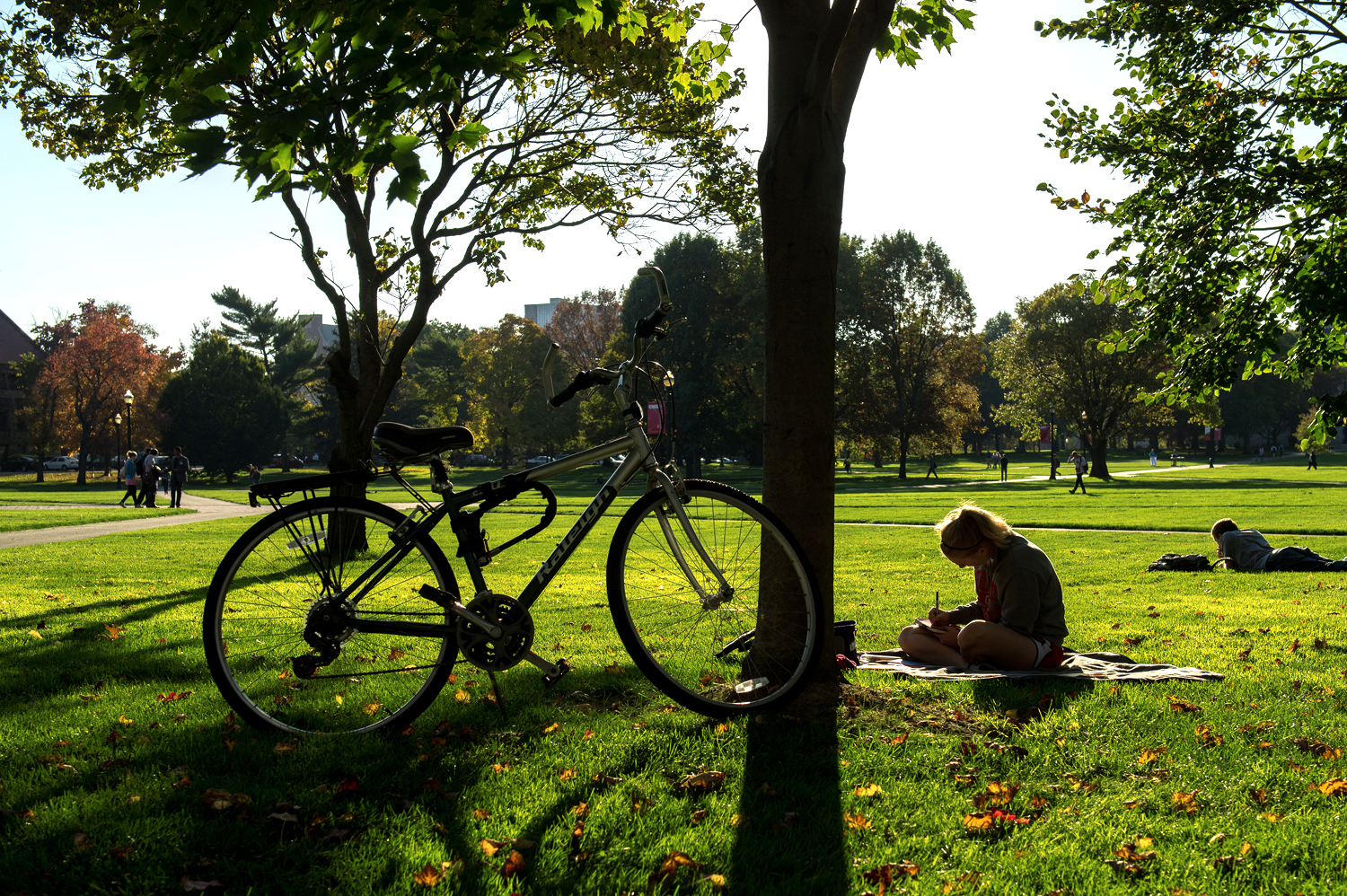 A person sitting on a blanket next to a bike in a park field of green grass