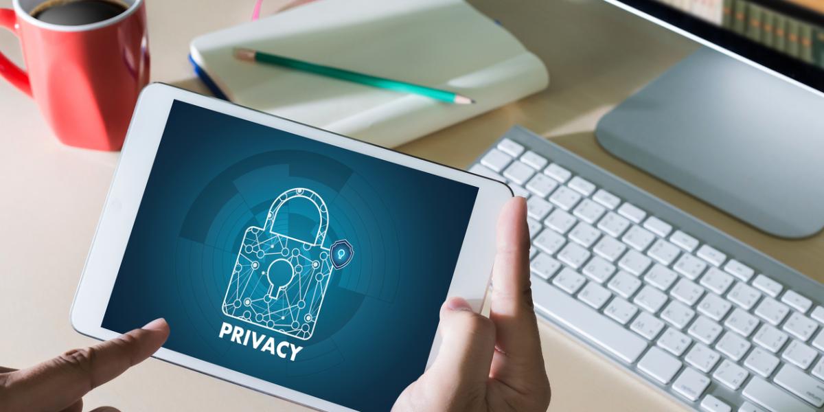A person holding a tablet with a screen showing a digital lock labeled 'privacy'<null>