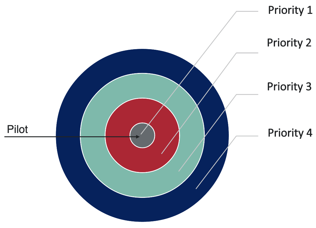 Graphic target displaying priority of system assessment