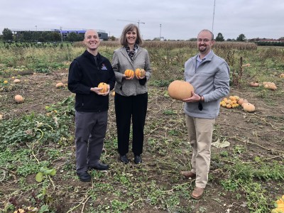 Three people smiling and standing in pumpkin patch holding gourds and pumpkins