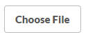 choose file button