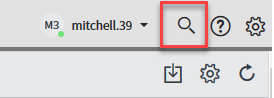 Service Now Global Search magnifying glass icon