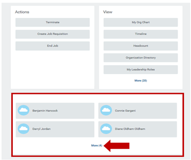the my team page with the team circled and an arrow pointing to the more link