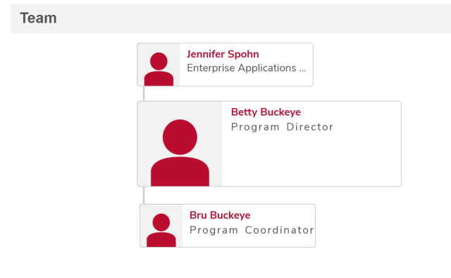 the team section of the profile page