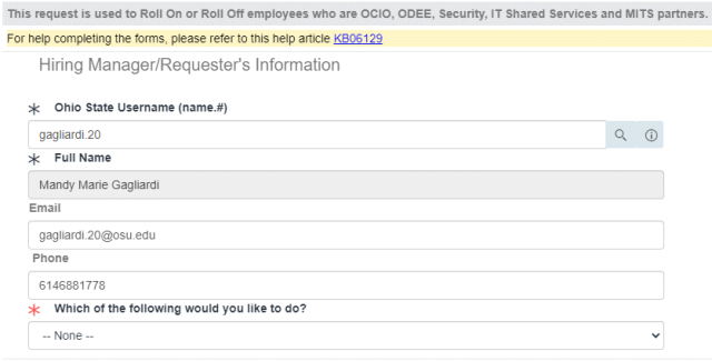 Hiring Manager section of the request item