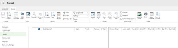 MS Project Tasks view