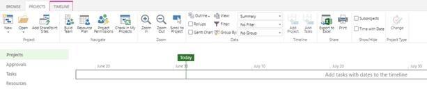 MS Project Timeline details