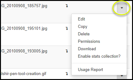 Row menu options button open for the media object