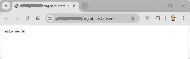 browser test window