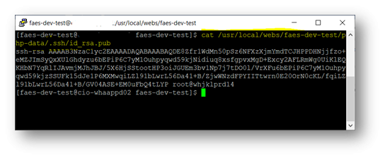 SSH Command window