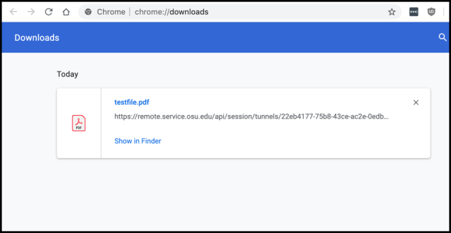 RDP download results window