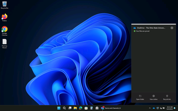 Example of desktop after logging in
