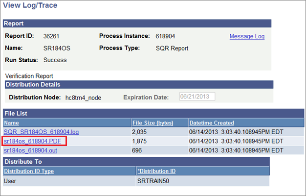 Verification Report File