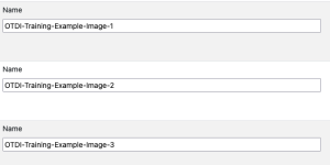 set descriptive names for the files