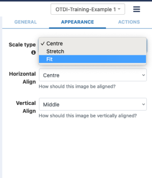 image properties on the appearance tab. Scale type set to fit