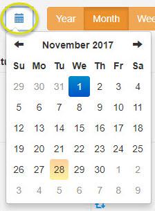 Month view of the calendar date selection widg