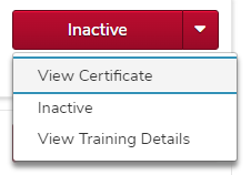 the inactive menu expanded, showing no launch options