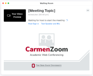 CarmenZoom waiting room window