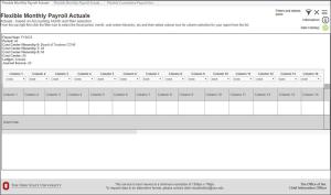 Flexible Payroll Expense Data Report Interface - New