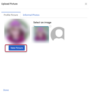 Picture window with the New Picture button highlighted