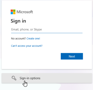 Microsoft branded log in screen without any account names in the field