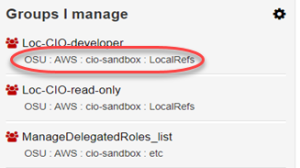 Groups I manage with the AWS Sandbox highlighted for the LOC-CIO-Developer account