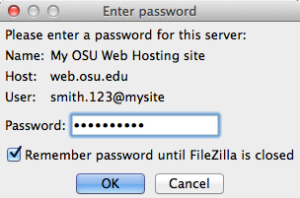 Filezilla password window