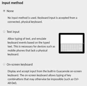 input method window with none, text or on-screen display as options