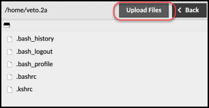 SFTP upload files button highlighted