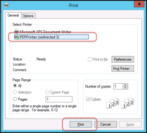 pdf printer and print button highlighted