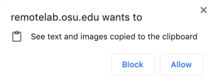 remote lab access message asking to allow text and images to be seen on the clipboard