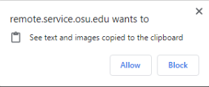remote access message asking if you will allow the ability to see text and images copied to the clipboard