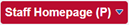 Homepage selection button as it appears at the left side of the browser window below the top banner.